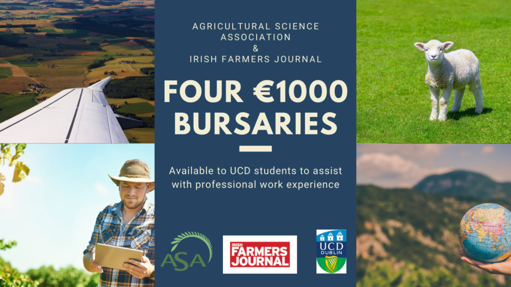 UCD-Bursary